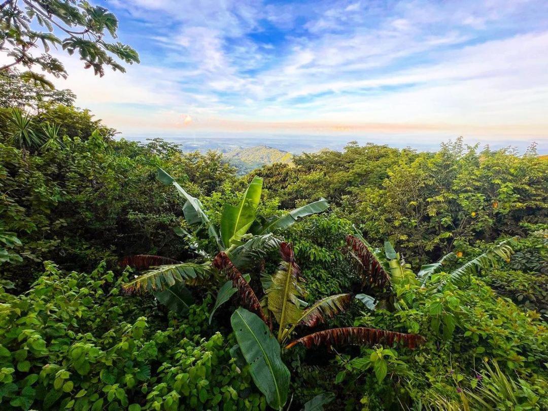 Domos Mirador Romantic Private Honeymoon Glamping Miramar Exterior photo